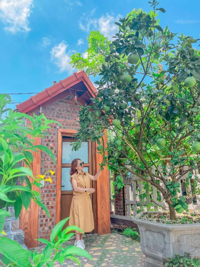Cosiana Homestay Ninh Bình Exteriör bild
