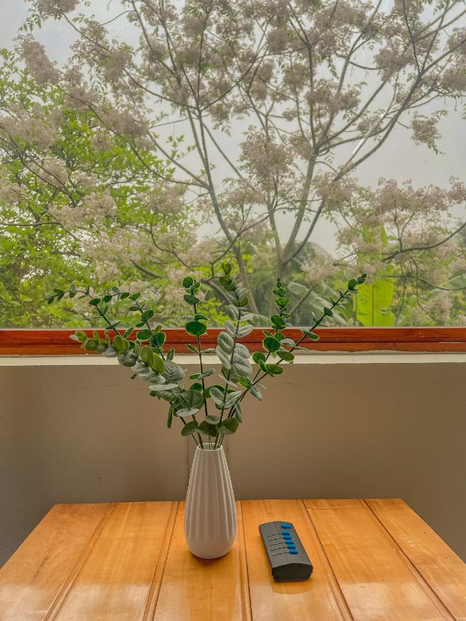 Cosiana Homestay Ninh Bình Exteriör bild